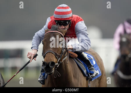 Picansort von Shane Kelly beim Blue Square Sprint Serie Rund 5 Handicap Stockfoto