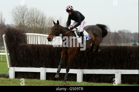 Pferderennen Sie - 3. Februar National Hunt - Leicester Racecourse Stockfoto