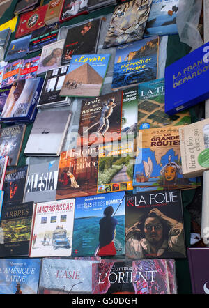 Eine große Auswahl an Büchern in einer Brocante (Flohmarkt) außerhalb von Paris. Stockfoto