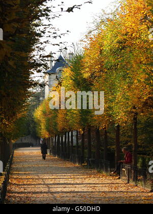 Herbstblätter schmücken einen breiten Weg im Park von Sceaux, Il de France Stockfoto