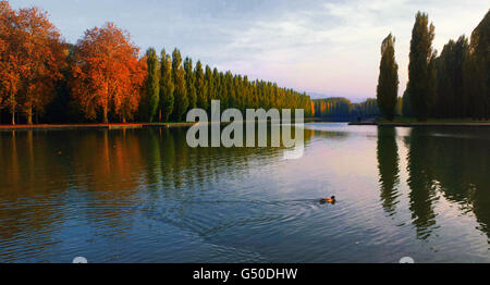 Der spektakuläre Grand Canal im Parc de Sceaux Stockfoto