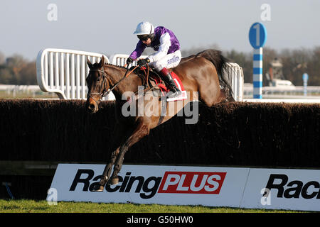 Horse Racing - Racing Plus Chase Tag - Kempton Park Stockfoto