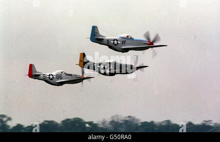 MUSTANGS IM DUXFORD Stockfoto