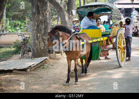 Ein Warenkorb-Pferd warten auf Touristen, Inwa, Mandalay Region, Myanmar Stockfoto