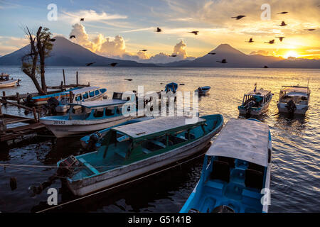 Vögel fliegen von festgemachten Wassertaxis an den Docks in Panajachel, den Sonnenuntergang über der Vulkane des Lago de Atitlan in Guatemala Stockfoto