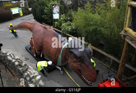 Chester Zoo Dinosaurier-Ausstellung Stockfoto