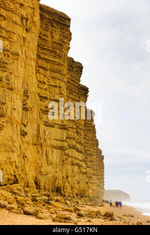 Hoch aufragenden Klippen des unteren Jura Bridport Sand Formationen in West Bay, Dorset, UK, Webstuhl über Wanderer an einem nebligen Junitag Stockfoto