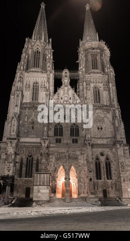 Winternacht in Regensburg – Dom St. Peter Stockfoto