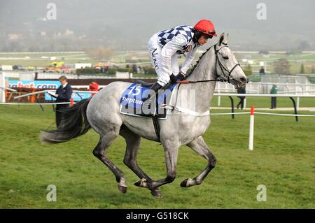 Simonsig wird von Barry Geraghty geritten und wird am Ladies Day, während des Cheltenham Festivals, für die Neptune Investment Management Novizen's Hurdle eingestellt. Stockfoto