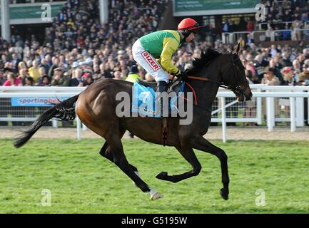 Sizing Europe geritten von Jockey Andrew Lynch, der vor der sportingbet.com Queen Mother Champion Chase während des Ladies Day beim Cheltenham Festival posten wird. Stockfoto