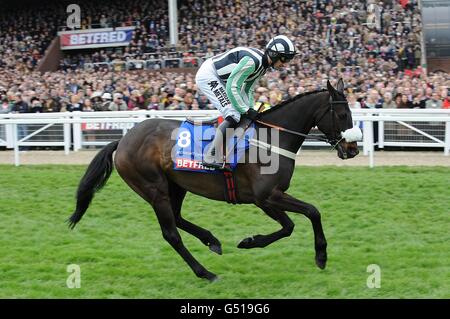 Midnight Chase, geritten von Dougie Costello, der während des Cheltenham Festivals am Gold Cup Day für die Betfred Cheltenham Gold Cup Chase posten wird. Stockfoto