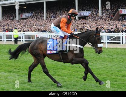 Langer Lauf, der von Sam Waley-Cohen geritten wird, der für die Betfred Cheltenham Gold Cup Chase am Gold Cup Day während des Cheltenham Festivals posten wird. Stockfoto