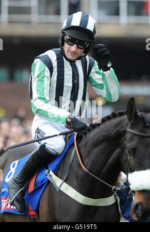 Horse Racing - 2012 Cheltenham Festival - Tag vier - Cheltenham Racecourse Stockfoto