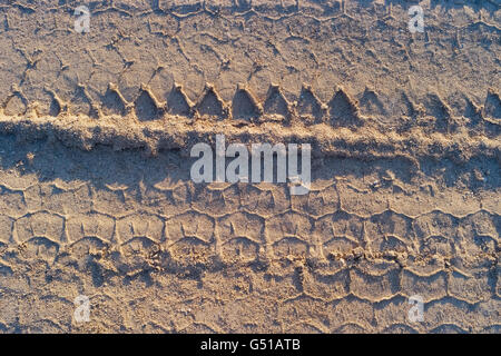 Textur der Spurweite in den sand Stockfoto