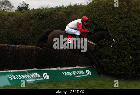 Pferderennen - Grand Military Gold Cup Day - Sandown Park. Gwanako mit LBdr Jody Sole springt als Letzter auf dem Weg zum Sieg bei der Hindernissen-Jagd der Queen Elizabeth, der Königin-Mutter-Gedächtnisjäger Stockfoto