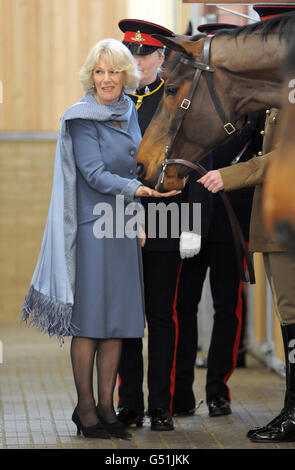 Herzogin von Cornwall Besuch des Königs Troop Royal Horse Artillery Stockfoto