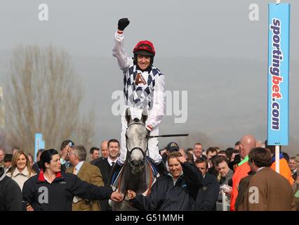 Pferderennen - 2012 Cheltenham Festival - Tag Zwei - Cheltenham Rennbahn. Hürde auf Simonsig während des Ladies Day beim Cheltenham Festival. Stockfoto