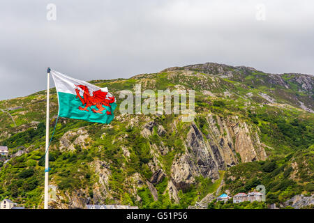 Walisische Flagge über Barmouth Wales UK Stockfoto