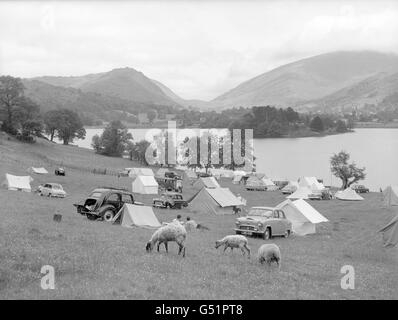 Bergschafe wandern zwischen den Zelten der Feriencamper am Dale End, mit Blick auf Grasmere im Lake District. Dieser Ort mit seiner schönen Aussicht gilt als einer der malerischsten Orte, die Camper in Großbritannien zugänglich sind. Hinter dem See befinden sich Helm Crag (links) und Seat Sandal (2.415ft. Hoch) mit dem Pass von Dunmail dazwischen. Stockfoto