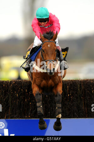 Pferderennen - Southwell Races. King Jack wird von Jockey Richard Johnson gefahren und springt zum letzten Mal, um die Weatherbys Bloodstock Insurance Handicap Chase zu gewinnen Stockfoto