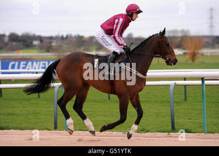 Pferderennen - Southwell Races. Cottage Acre, das von Paddy Brennan geritten wird, geht in die Weatherbys Bloodstock Insurance Handicap Chase Stockfoto