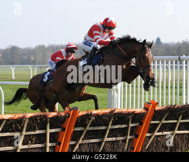 Pferderennen Sie - Betfair Grassroots Raceday - Newbury Racecourse Stockfoto