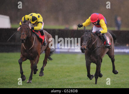 Pferderennen - Uttoxeter Race Course Stockfoto