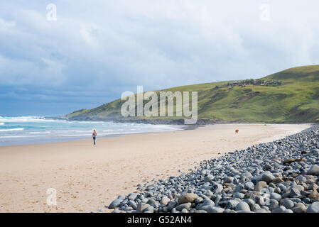 Südafrika, Eastern Cape, Amatole, Wild Coast, eine Frau mit zwei Hunden an den Strand Lubanzi am Strand von Lubanzi Stockfoto