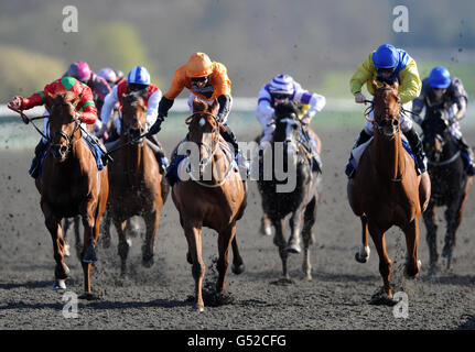 Pferderennen Sie - Winter Derby Day - Lingfield Park Stockfoto