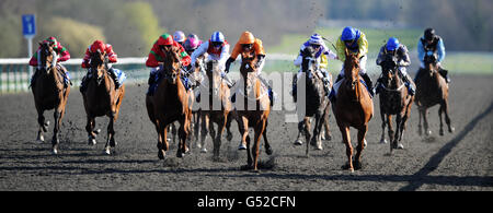 Pferderennen Sie - Winter Derby Day - Lingfield Park Stockfoto