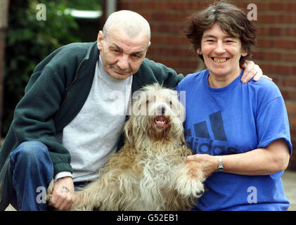 Raymond und Audrey Waddell mit ihrem Heldenhund Lassie, der sie vor einem Feuer in ihrem Haus rettete, als Lassie Raymond gebissen hatte, um ihn in ihrem Haus in Bedlington, Northumberland, zu wecken, nachdem ihr Bellen den Haushalt nicht geweckt hatte. Stockfoto