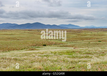 Namibia, Erongo, Namib - Naukluft-Park, Kuiseb Canyon, auf dem Weg nach Walvis Bay Stockfoto