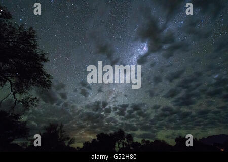 Namibia, Erongo, Sternenhimmel, Milky Way, am Brandberg auf dem Campingplatz Branberg Stockfoto