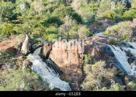 Namibia, Kunene, Kaokoland, Epupafalls der Kunene Fluss an der Grenze zu Angola im Kaokoland Stockfoto