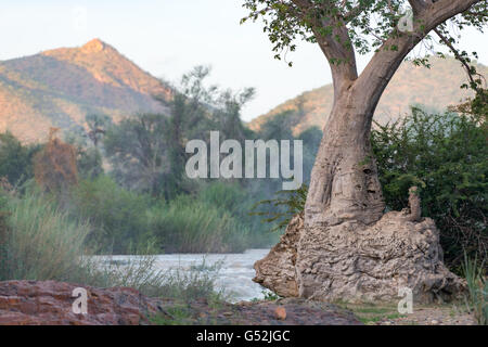 Namibia, Kunene, Kaokoland, Epupafalls der Kunene Fluss an der Grenze zu Angola im Kaokoland Stockfoto