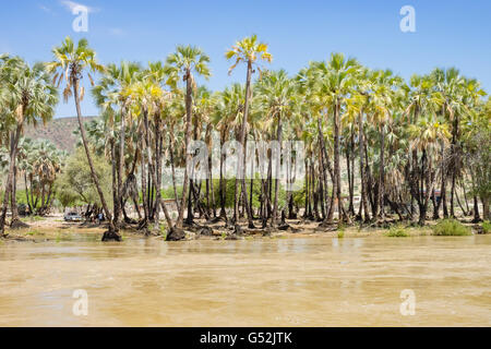 Namibia, Kunene, Kaokoland, Palmeninsel bei Sonnenschein, Epupafalls von den Kunene River an der Grenze zu Angola im Kaokoland Stockfoto