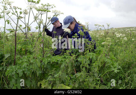 Fehlende Mädchen Suche Stockfoto