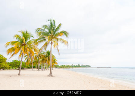 Kuba, Cienfuegos, Playa Girón, Playa Girón, Playa Larga, Schwein Bucht Stockfoto