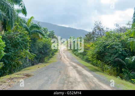 Kuba, Guantánamo, Nibujón, Straße am Nationalpark Alexander von Humboldt Nationalpark Alejandro de Humboldt Stockfoto