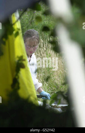 Forensische Polizeibeamte der Sussex-Polizei arbeiten am Tatort der A29, wo der Leichnam eines jungen Mädchens auf einem Feld nördlich von Pulborough, Sussex, gefunden wurde. Es wurde bestätigt, dass Sarah Payne, die acht Jahre alt war, während sie auf einem Maisfeld spielte, verschwunden war. * in der Nähe des Elternhauses Worthing. Stockfoto