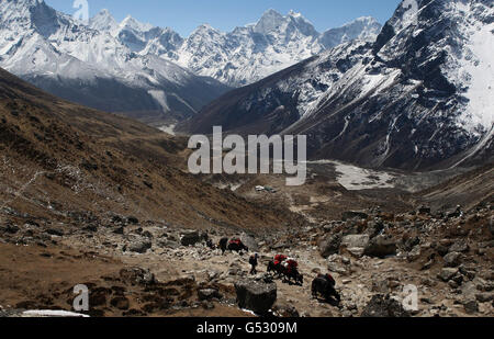 Wandern mit The Wounded Mount Everest-expedition Stockfoto