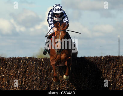 Horse Racing - 2012 John Smiths Grand National - Tag eins - Aintree Racecourse Stockfoto