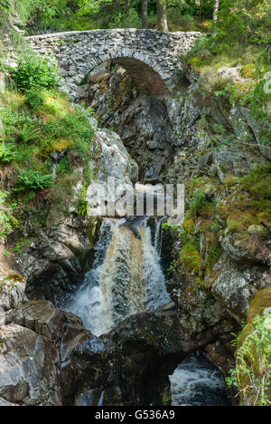 Großbritannien, Schottland, Perth und Kinross, Blair Atholl, Bruar Falls, in der Nähe von Pitlochry Stockfoto