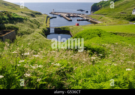 Großbritannien, Schottland, Highlands, Lybster, Lybster von Caithness in Nordschottland, ehemalige Fischerhafen Stockfoto