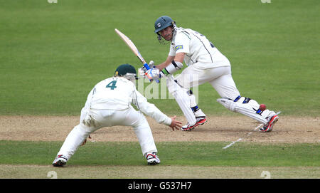 Cricket - LV= County Championship - Division One - Tag drei - Nottinghamshire / Worcestershire - Trent Bridge. Daryl Mitchell von Worcestershire schlägt zu Stockfoto