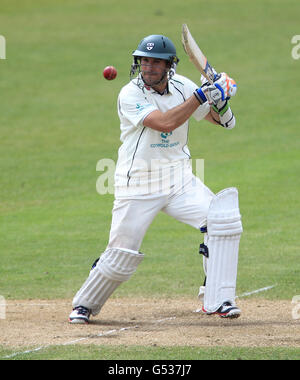 Cricket - LV= County Championship - Division One - Tag drei - Nottinghamshire / Worcestershire - Trent Bridge. Daryl Mitchell von Worcestershire schlägt zu Stockfoto