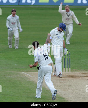 Cricket - LV= County Championship - Division One - Tag drei - Surrey gegen Sussex - The Kia Oval. Surrey's Jade Dernbach feiert die Aufnahme des Wickels von Sussex's Michael Yardy. Stockfoto