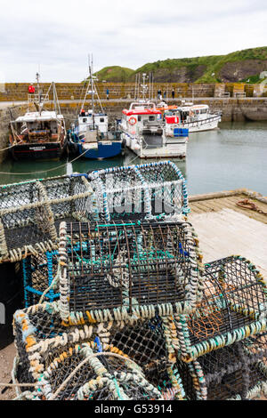 Großbritannien, Schottland, Aberdeenshire, Stonehaven, Krabbe Käfige im Hafen, Stonehaven ist eine kleine Hafenstadt in Kincardineshire Stockfoto