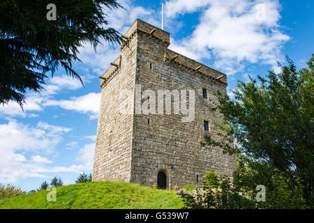 Großbritannien, Schottland, South Lanarkshire, East Kilbride, Netz Burg in East Kilbride Stockfoto