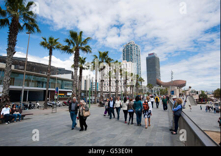 La Barceloneta, Barcelona, Spanien, Europa Stockfoto